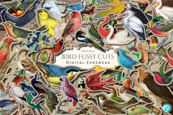 Download Vintage Bird Fussy Cut Digital Ephemera - Premium Resources