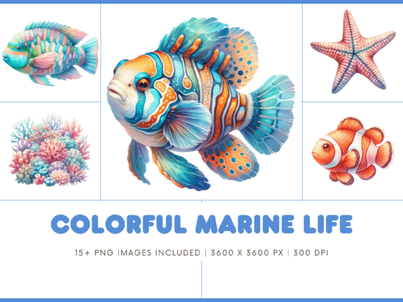 Download Colorful Marine Life Animals - Marine life Collection