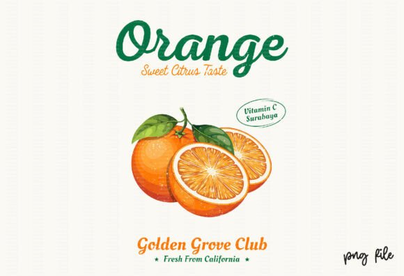 Download Vintage Summer Retro Orange Fruit PNG - Retro Collection